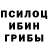 Галлюциногенные грибы Psilocybe Gogo Boys