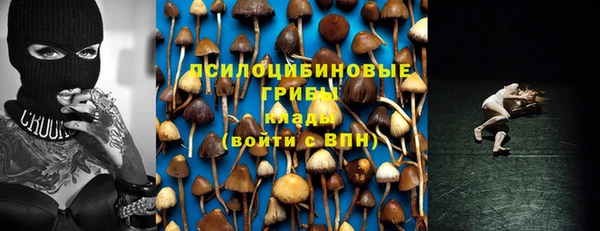 герыч Надым