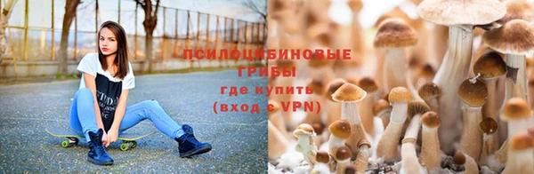 герыч Надым
