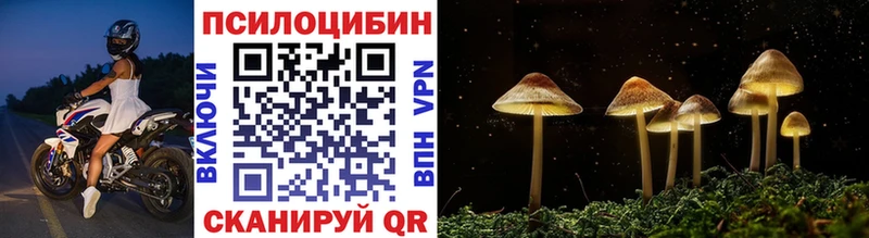 где продают наркотики  Воткинск  Псилоцибиновые грибы Magic Shrooms 
