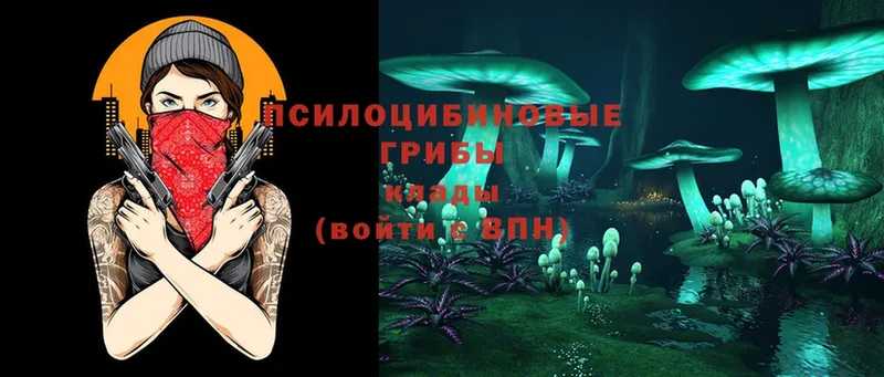 Галлюциногенные грибы Cubensis  Воткинск 