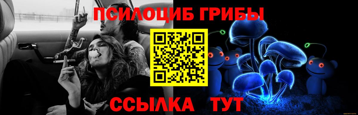 Псилоцибиновые грибы мицелий Воткинск