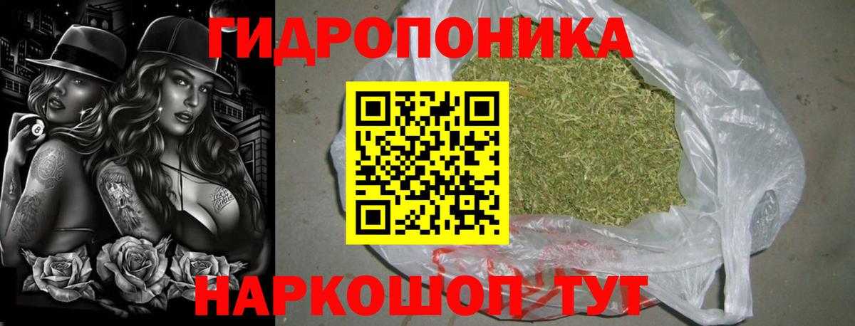 Шишки марихуана гибрид  Конопля AK-47  Бошки Шишки Ganja  Воткинск  Бошки Шишки сатива 